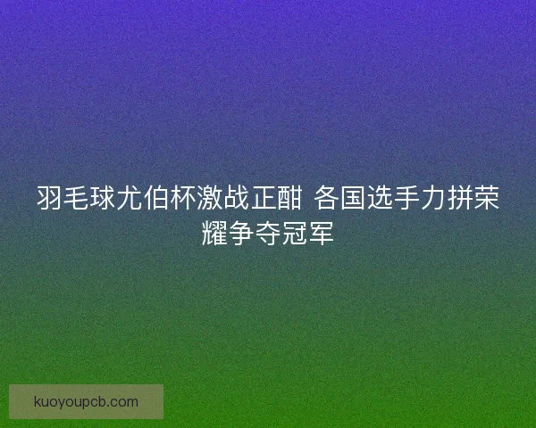 羽毛球尤伯杯激战正酣 各国选手力拼荣耀争夺冠军